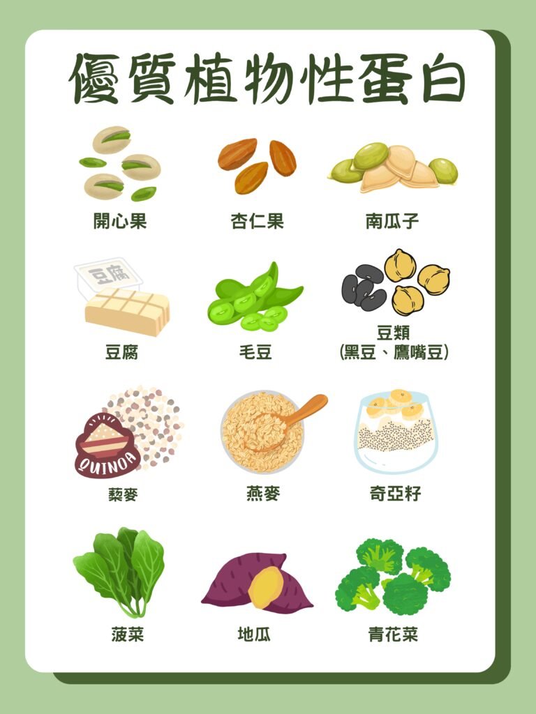 素食如何選擇優質蛋白質來源,並補充足量蛋白質的秘訣 1 優質植物性蛋白