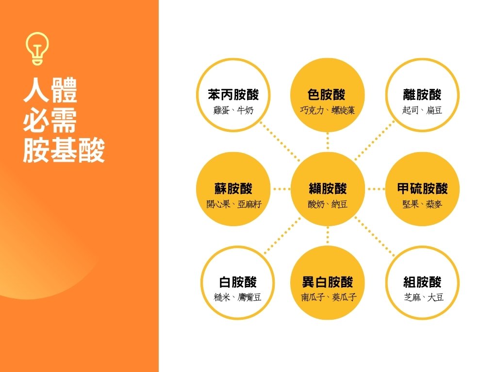 素食如何選擇優質蛋白質來源,並補充足量蛋白質的秘訣 2 人體必需胺基酸