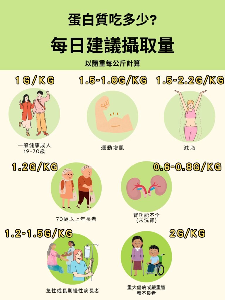 素食如何選擇優質蛋白質來源,並補充足量蛋白質的秘訣 3 蛋白質每日攝取量
